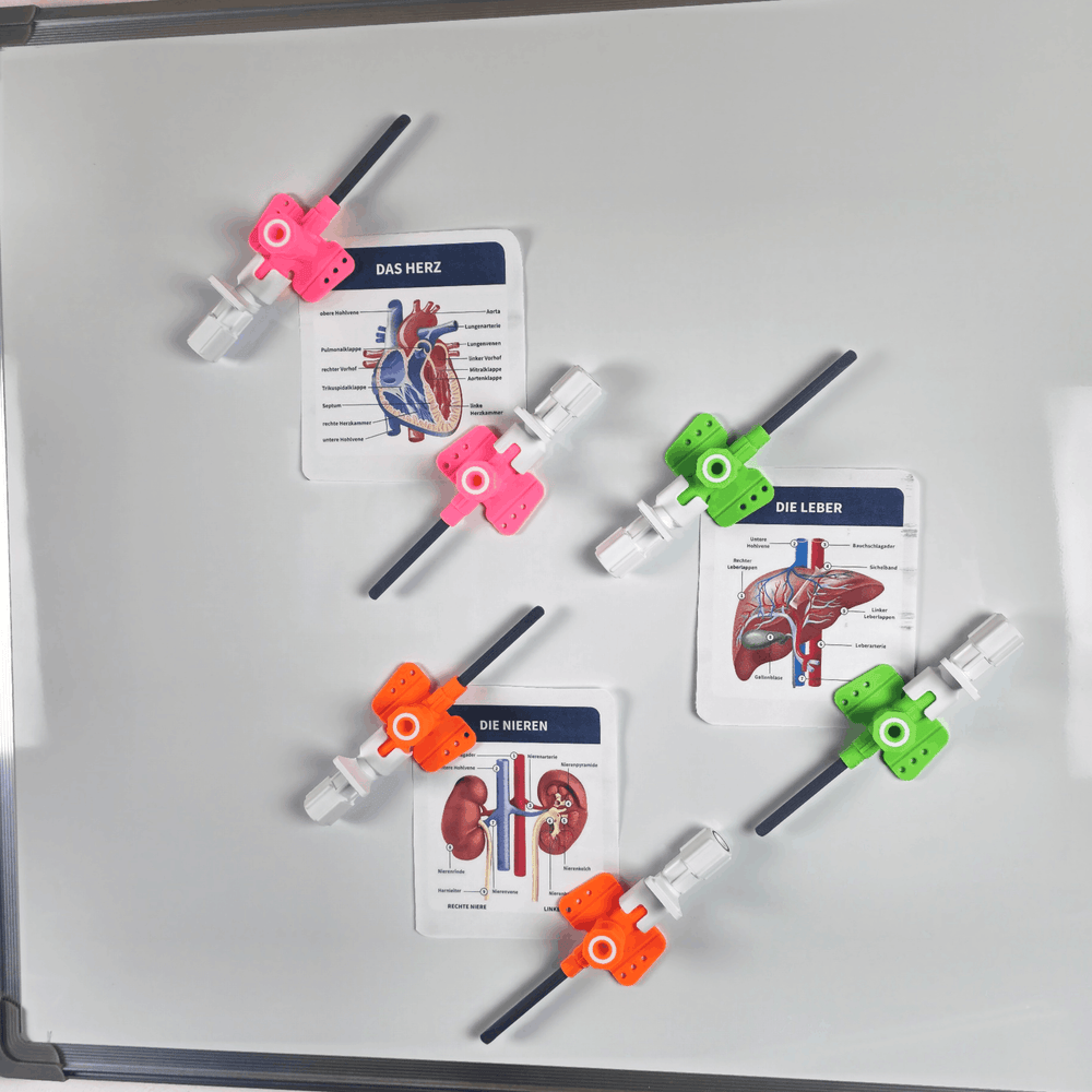 Neue Kühlschrankmagnete: Druckknopfmelder & Venenverweilkanülen